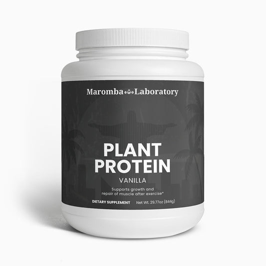 Plant Protein (Vanilla)